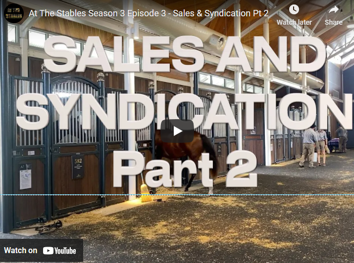S3E3  SALES AND SYNDICATIONS PART 2